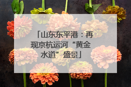 山东东平港：再现京杭运河“黄金水道”盛景